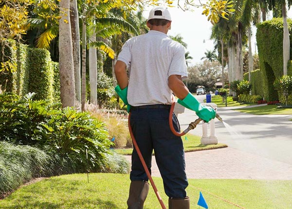 About West Chester IA Pest Control